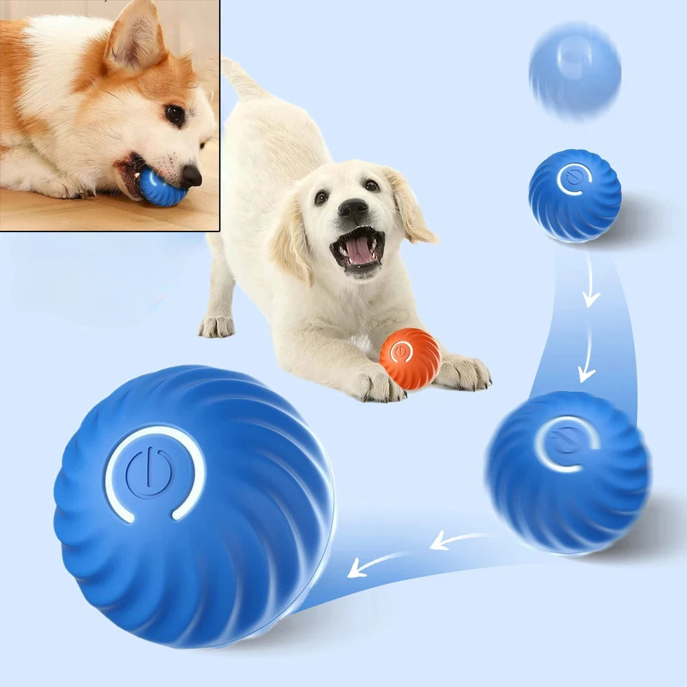 Motion-Activated Smart Pet Ball Toy