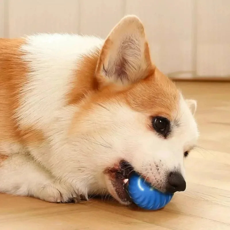 Motion-Activated Smart Pet Ball Toy