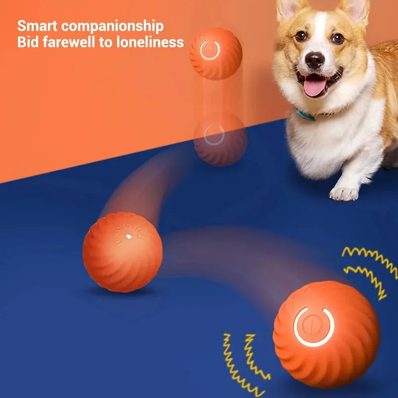 Motion-Activated Smart Pet Ball Toy