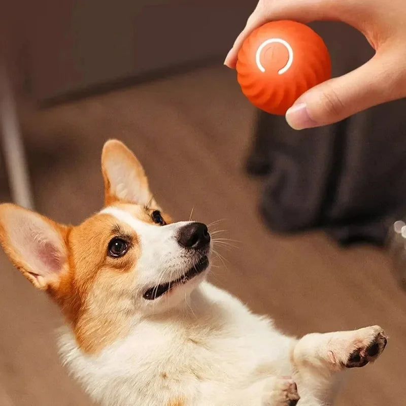 Motion-Activated Smart Pet Ball Toy